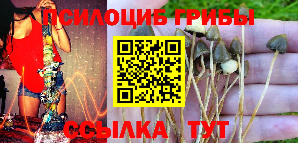 Псилоцибиновые грибы Psilocybine cubensis  Вход с VPN  как найти наркотики  Камень-на-Оби 